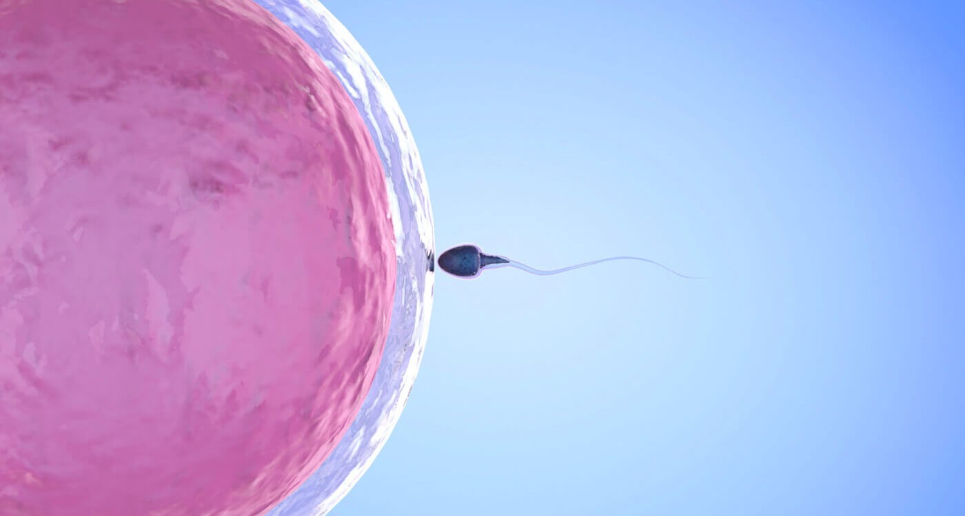 Низкая подвижность сперматозоидов