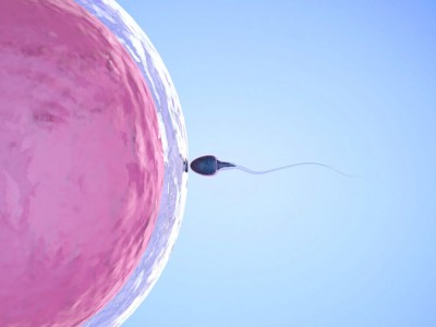 Низкая подвижность сперматозоидов