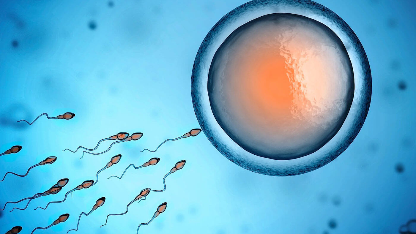 Исследование спермы: методы, которые помогут выяснить причину снижения мужской фертильности и узнать, как повысить подвижность сперматозоидов