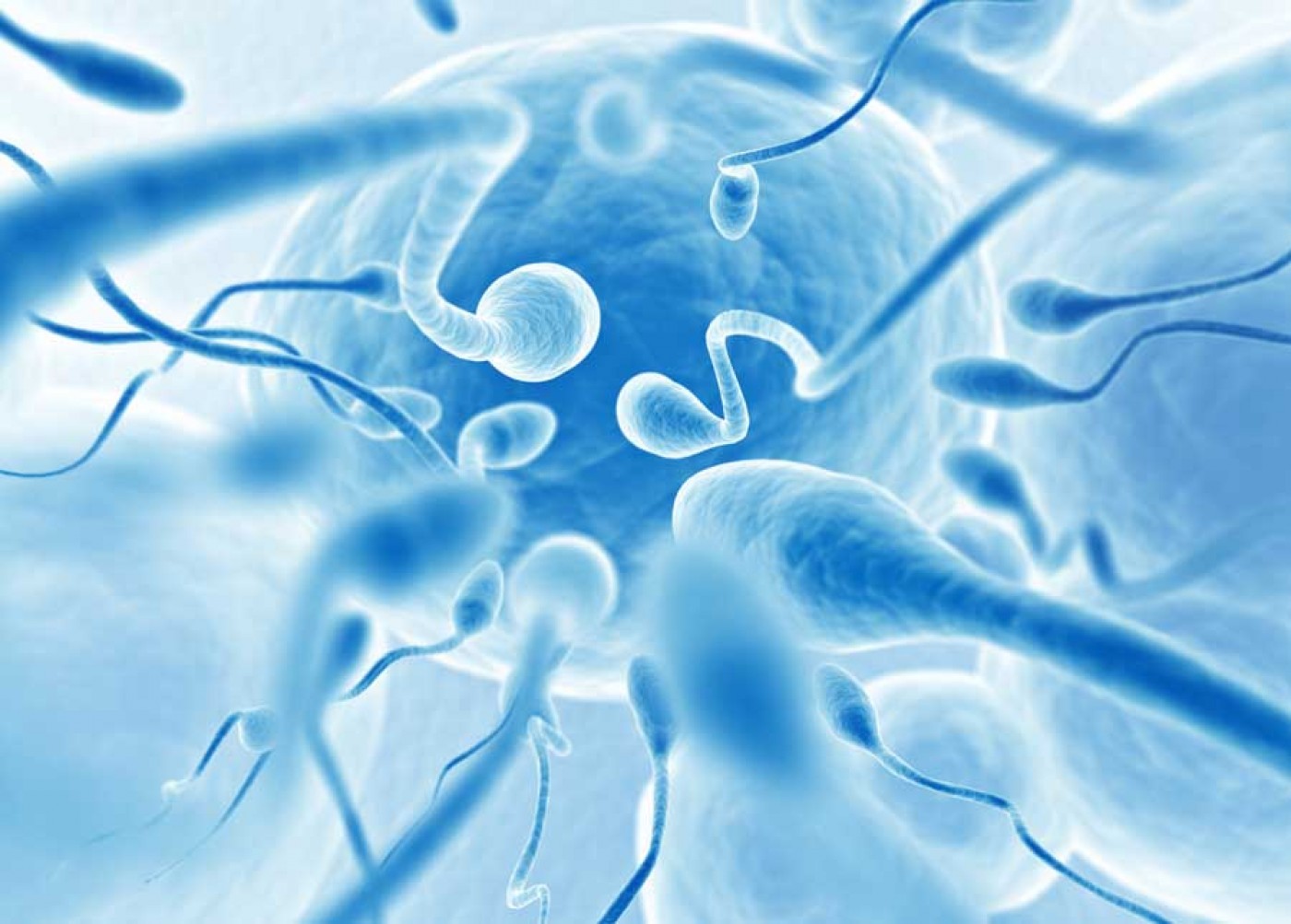 Как увеличить подвижность сперматозоидов