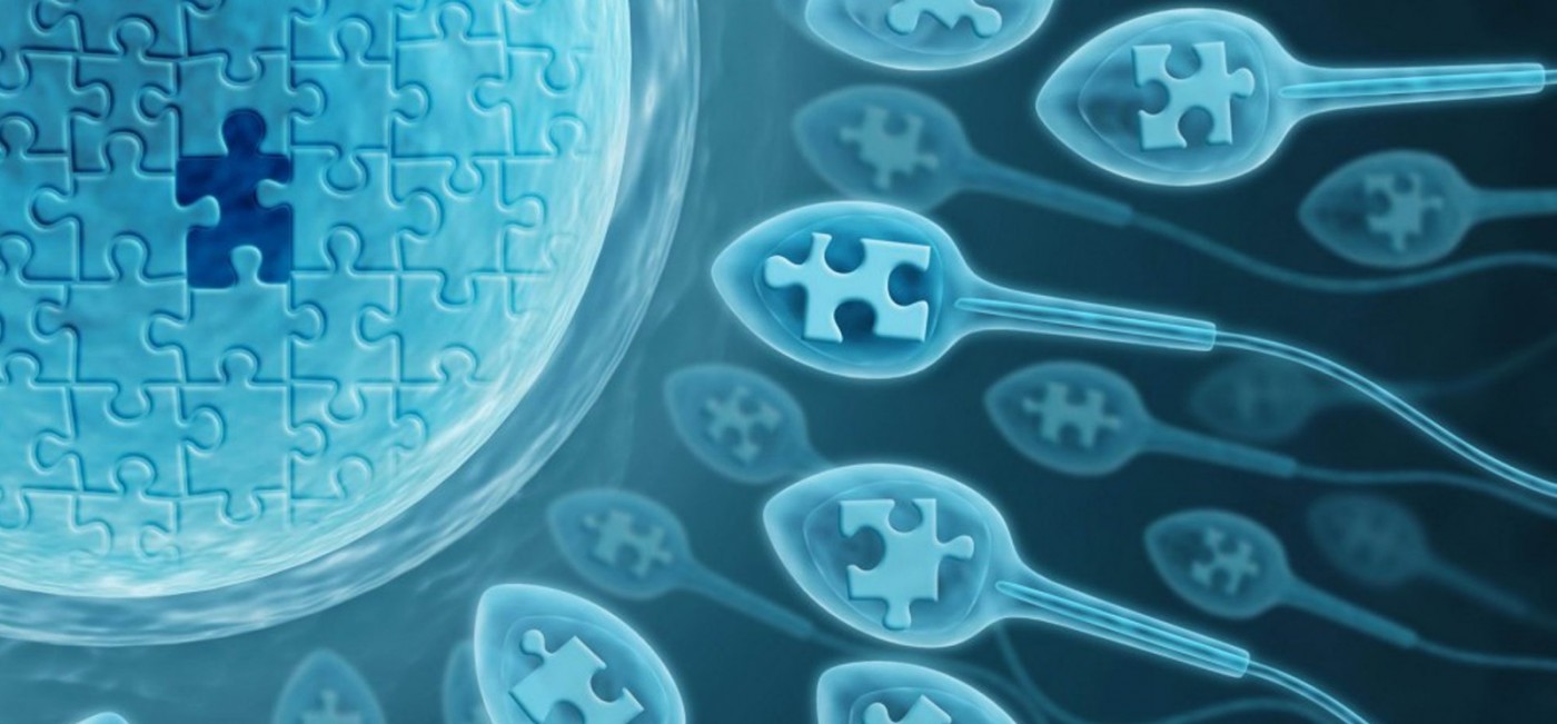 Пять здоровых привычек для улучшения качества сперматозоидов — Блог Reprolife