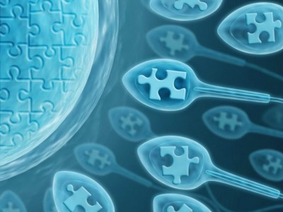 Можно ли улучшить качество сперматозоидов?