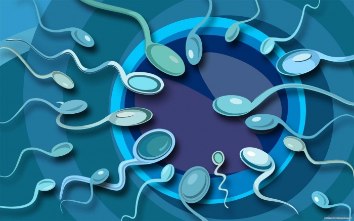 Качество спермы – важный показатель мужской фертильности