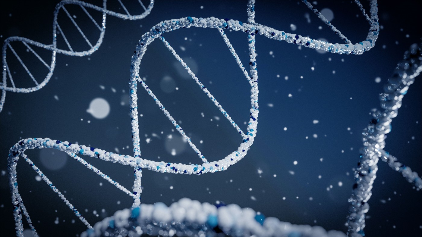 Что такое фрагментация ДНК сперматозоидов и как с ней бороться