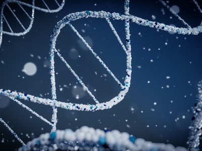 Что такое фрагментация ДНК сперматозоидов и как с ней бороться