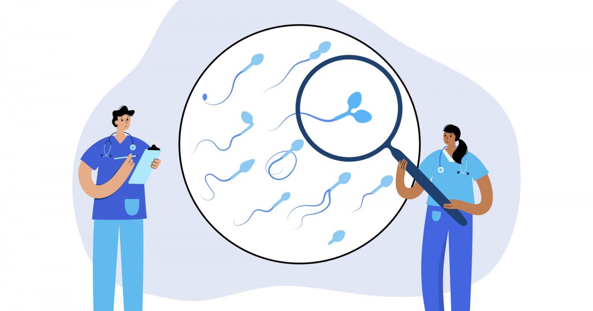 Partiyada sperma dengizi