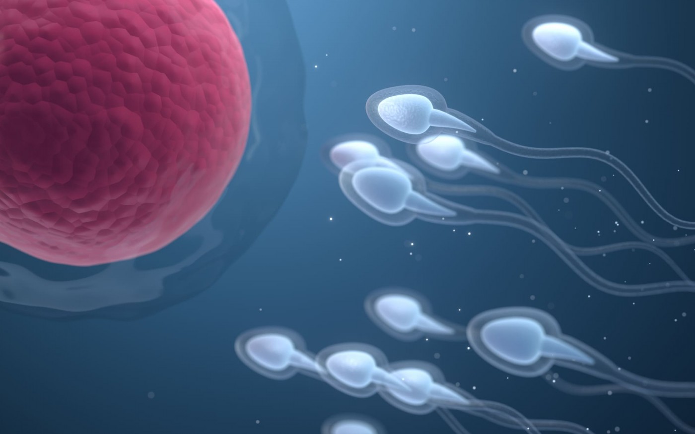 Интересные факты о сперме, сексе и оргазмах