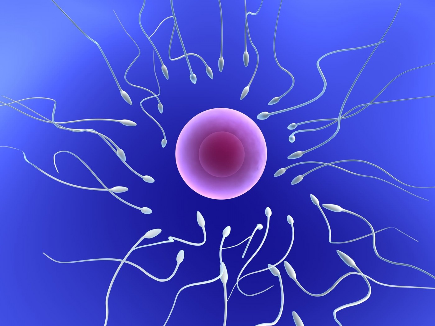 Что влияет на качество спермы?