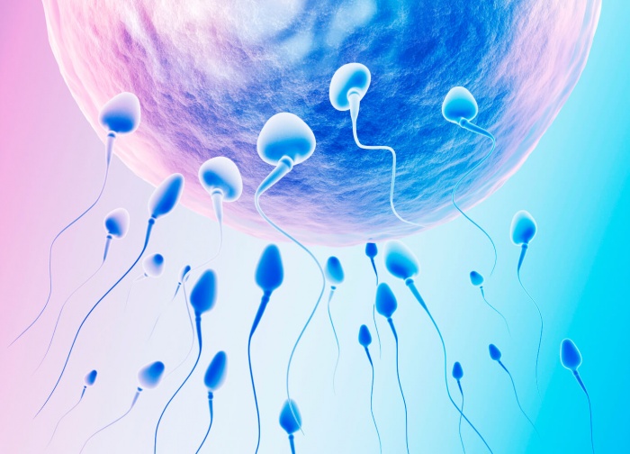 У вас есть вопросы про спермограмму? Ответы – в наших статьях