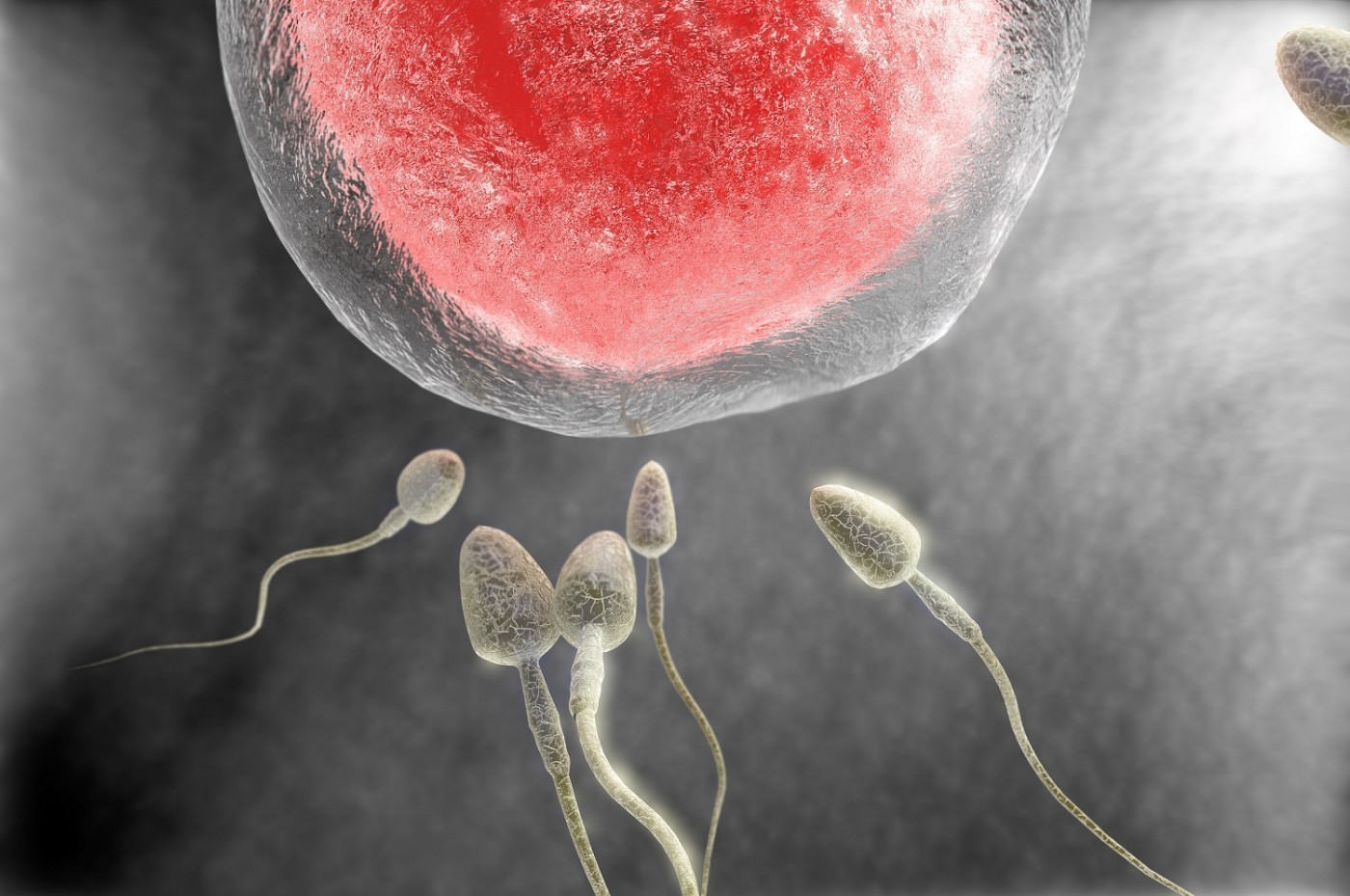 как сперма влияет на женское здоровье фото 74