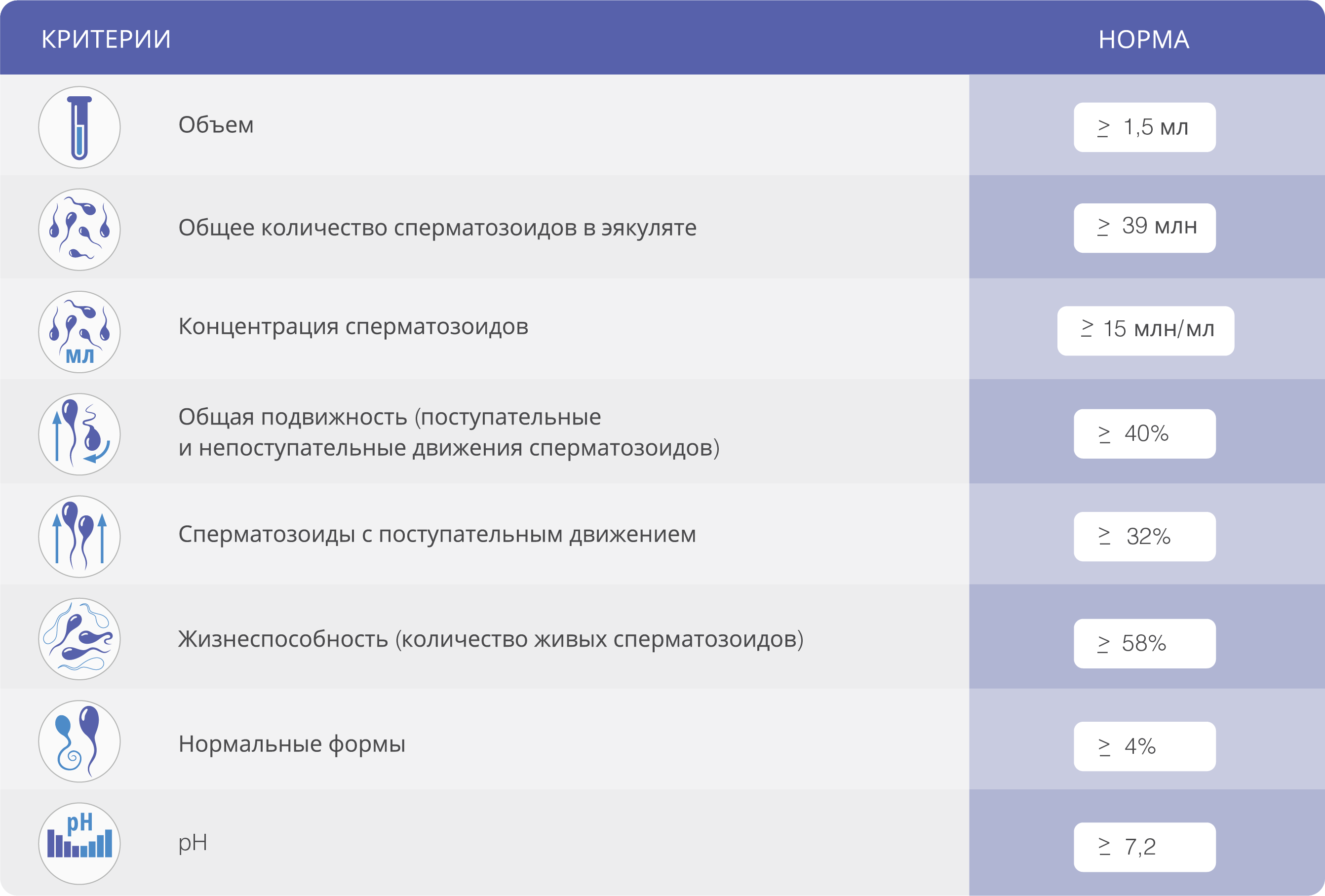 нормальное количество спермы у мужчины фото 97