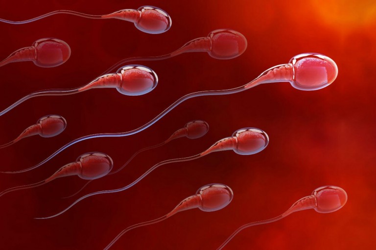 Что такое МАР-тест для мужчин, что значат его результаты