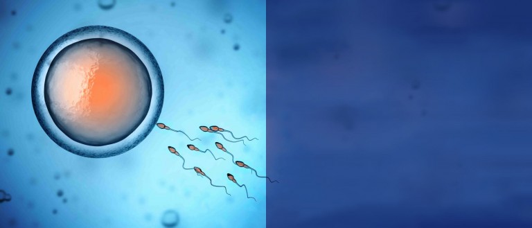 Результаты спермограммы: норма и расшифровка анализа