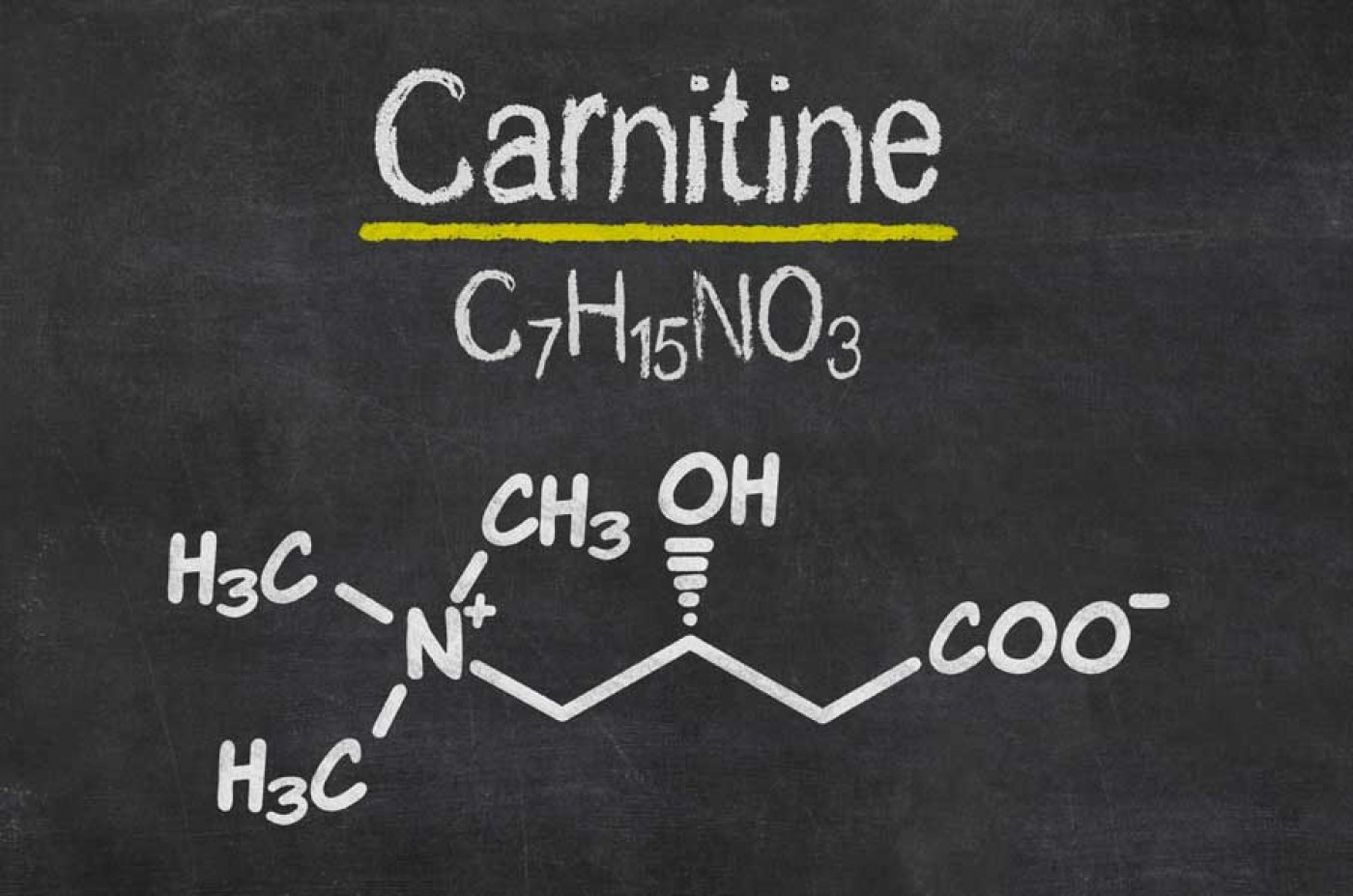Что важно знать об L-карнитине?